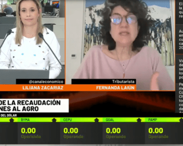 Fernanda Laiún en Canal E: los desafíos fiscales  ...